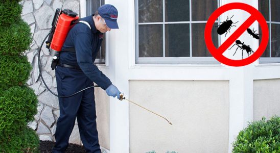 Çardak Dezenfeksiyon böcek ilaçlama ve haşere kontrolü — ilaclama-tr.com
